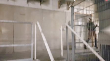 Грубый Анал С Блондинкой Крик Боль