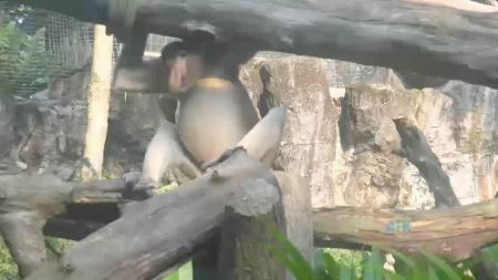 Женщина Сквиртит Мужику В Рот