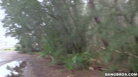 Зоо Муж Жена И Собака Реал