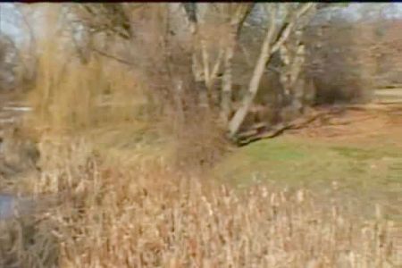 Жену В Круг Пустил